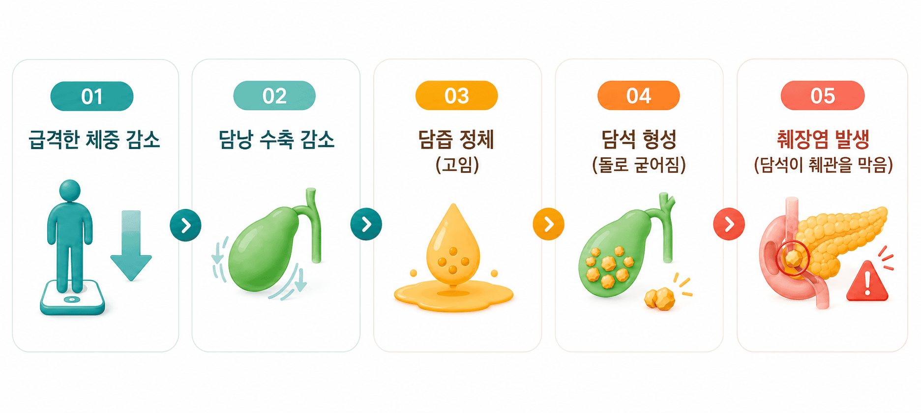 급격한 체중 감소로 담낭 수축이 줄고 담즙이 고여 담석이 형성되고 췌장염이 발생함.