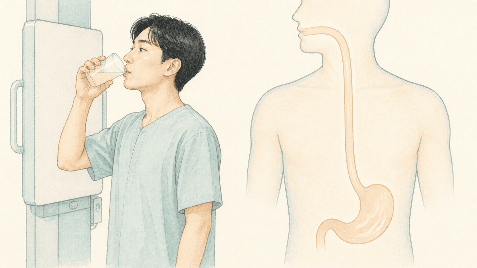 바륨을 삼키며 식도 모양과 통과를 보는 X선 검사