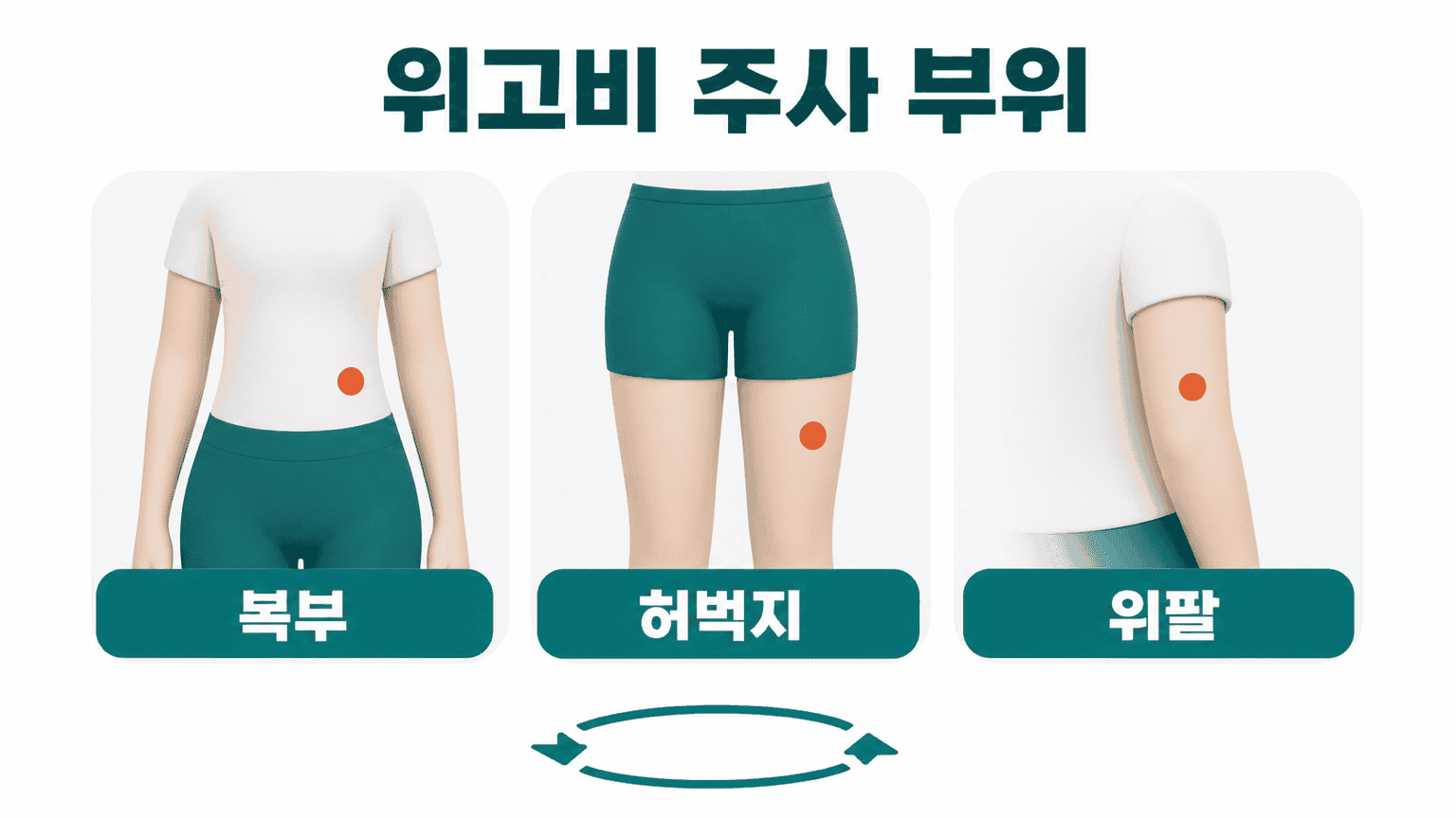 위고비 주사 부위로 복부, 허벅지, 위팔이 번갈아 투여되도록 표시됨.