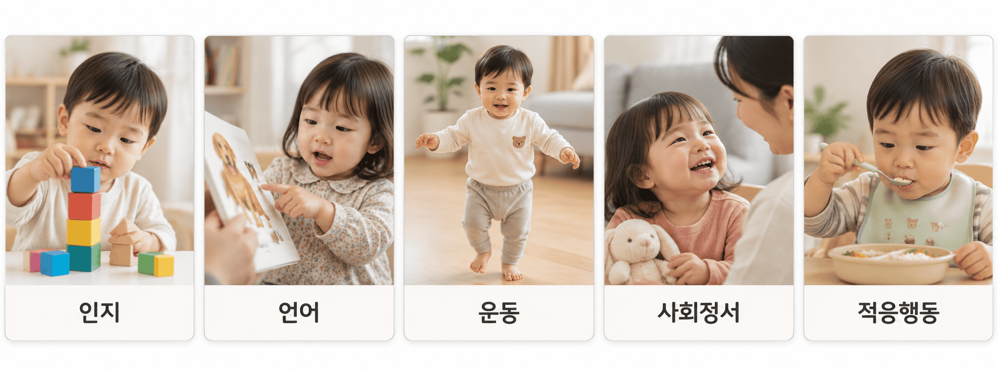 인지, 언어, 운동, 사회정서, 적응행동의 다섯 영역